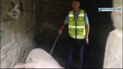DƬ